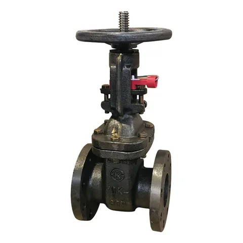 Cast Iron OS&Y Gate Valve (1MPa)