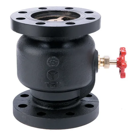 Cast Iron Hammerless Check Valve (1MPa) (KS)(KC)