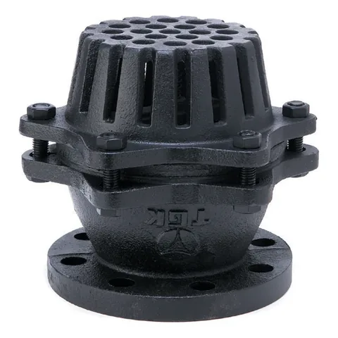 Cast Iron Foot Valve (1MPa)