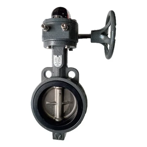 Cast Iron Butterfly Valve, Lever / Gear Operated (1MPa)