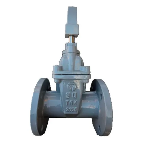 Soft Seal Gate Valve for Waterworks (1MPa)