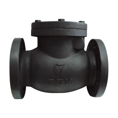 Cast Iron Swing Check Valve (1MPa, KS Type)